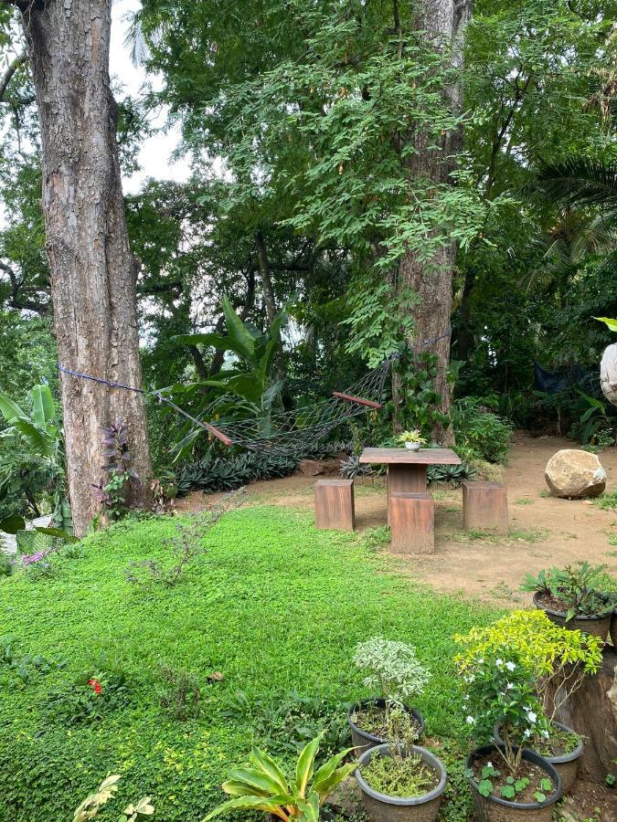 Pearl'S Homestay Matale Extérieur photo