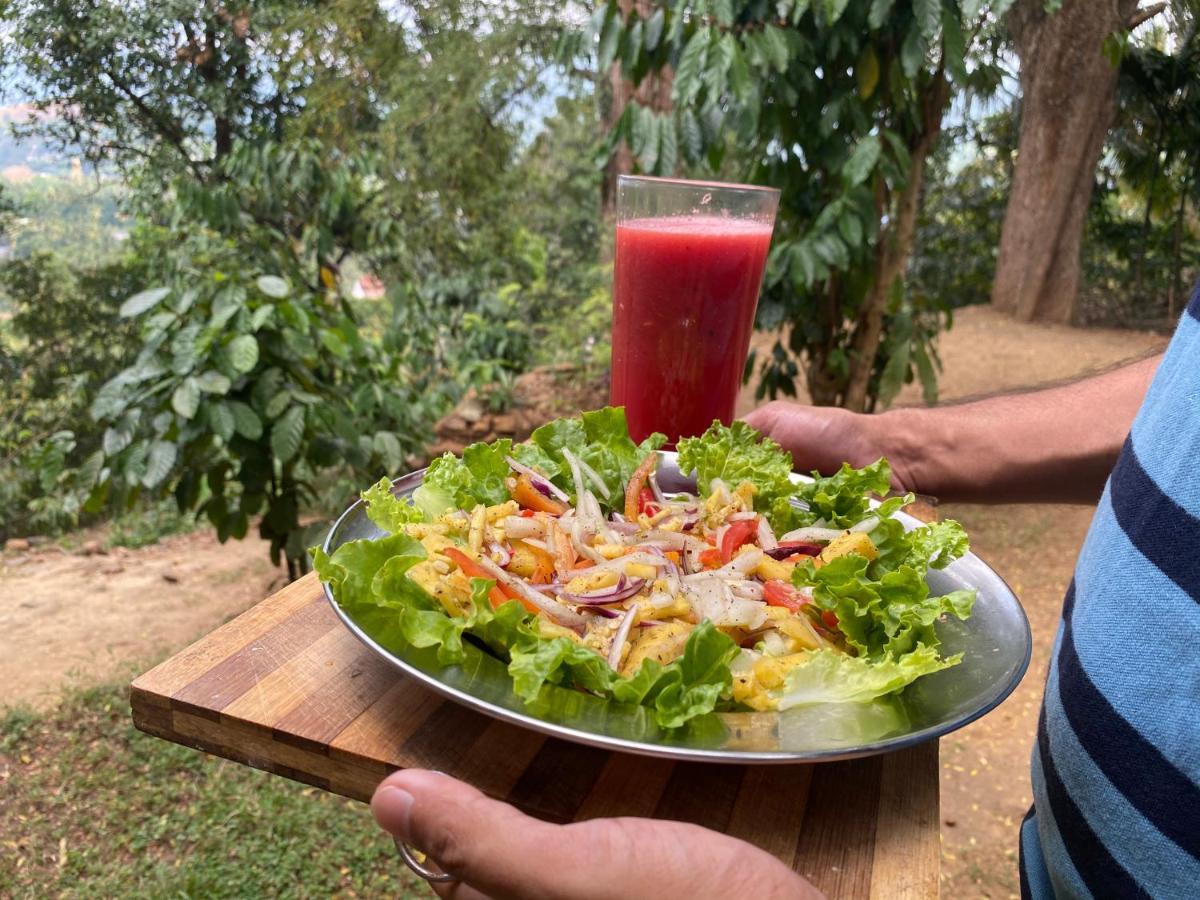 Pearl'S Homestay Matale Extérieur photo