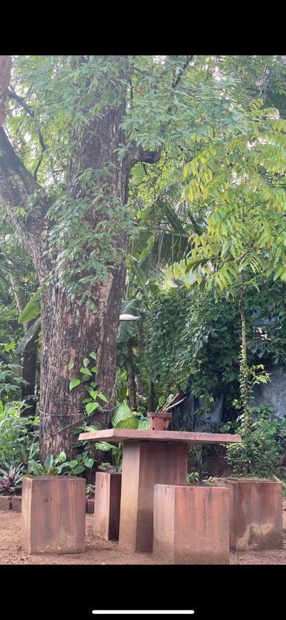 Pearl'S Homestay Matale Extérieur photo