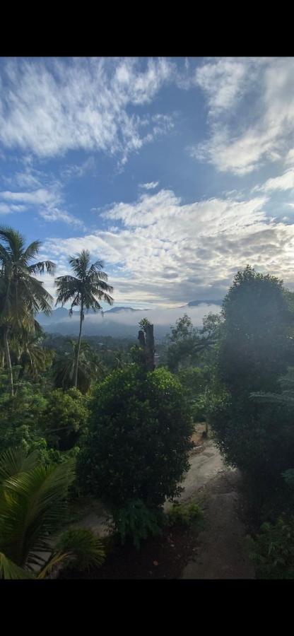 Pearl'S Homestay Matale Extérieur photo